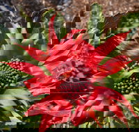 Inverawe Native Gardens - E Caravan Parks