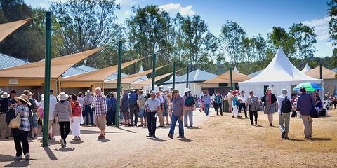 Ivory's Rock Conventions And Events - E Caravan Parks 2