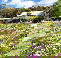 Kate's Berry Farm - E Caravan Parks