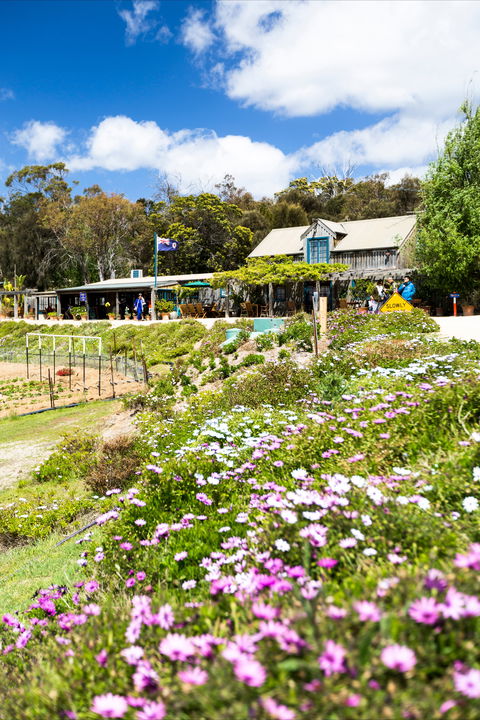 Kate's Berry Farm - E Caravan Parks 0