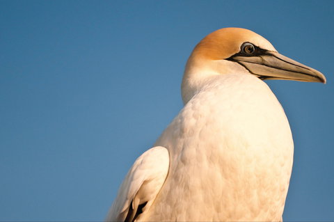 Port Phillip Heads Marine National Park - E Caravan Parks 0