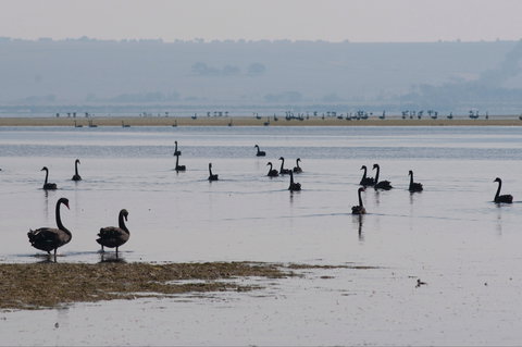 Port Phillip Heads Marine National Park - E Caravan Parks 2