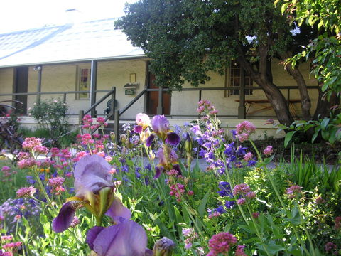 Raglan Gallery And Cultural Centre - E Caravan Parks 0