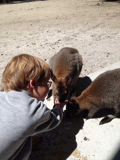 The Patriarch Wildlife Sanctuary - E Caravan Parks 1