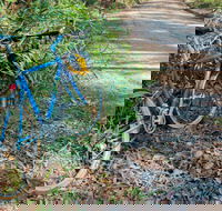 Walter Hood ride from Cudmirrah