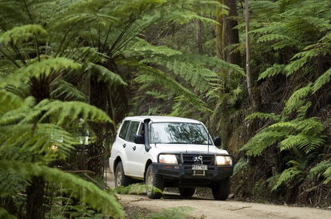 Walhalla - E Caravan Parks 2