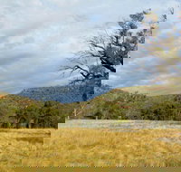 Weddin Mountains National Park - E Caravan Parks