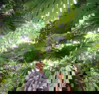 Wet Tropics Rainforest - E Caravan Parks