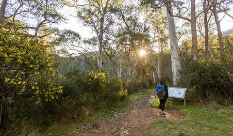 Yarrangobilly Caves – River Walk - E Caravan Parks 0