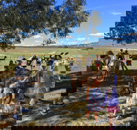 Alpaca Magic Stud - E Caravan Parks