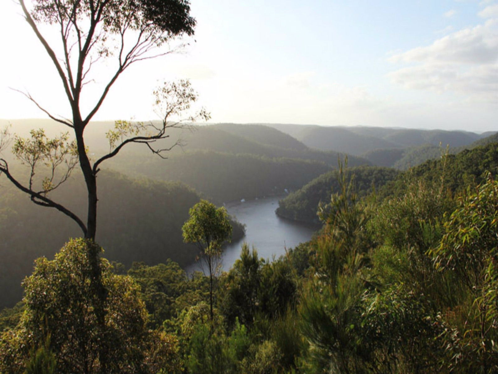 Westleigh NSW E Caravan Parks