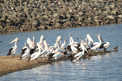 Bjelke-Petersen Dam - E Caravan Parks 2