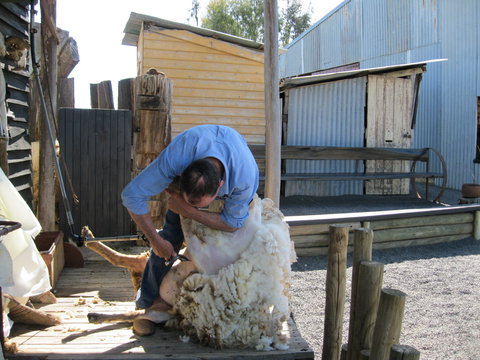 Boggy Creek Show - E Caravan Parks 2