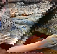 Canberra Reptile Zoo - E Caravan Parks