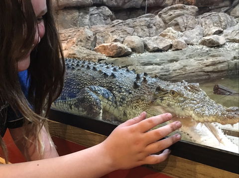 Canberra Reptile Zoo - E Caravan Parks 0