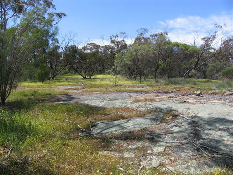 Christmas Rock Walk - E Caravan Parks 0
