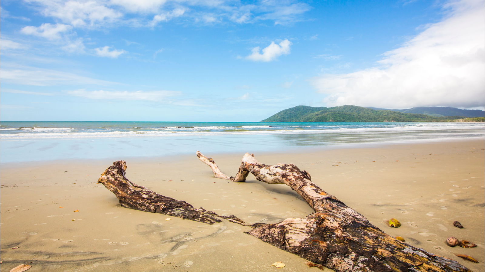 Cow Bay QLD E Caravan Parks