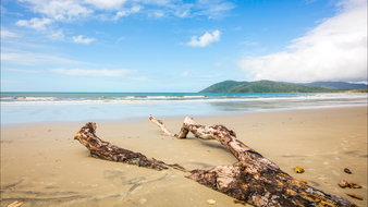 Book Cow Bay QLD Attractions E Caravan Parks E Caravan Parks