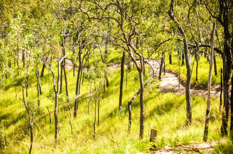 Davies Creek Mountain Bike Park - E Caravan Parks 0