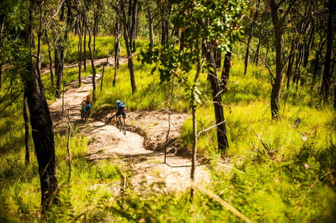 Davies Creek Mountain Bike Park - E Caravan Parks 2