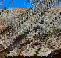 Eualdrie Walking Track - E Caravan Parks