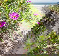 Fort Bribie - E Caravan Parks