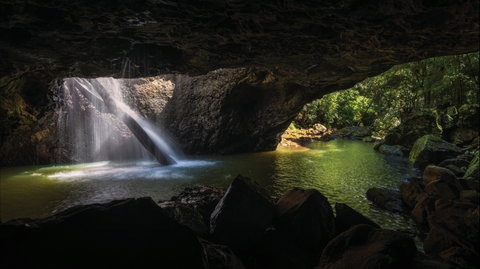 Gondwana Rainforests Of Australia World Heritage Area - E Caravan Parks 0