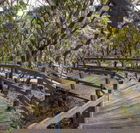 Governor Summit Corrunbral Borawah Walking Track - E Caravan Parks