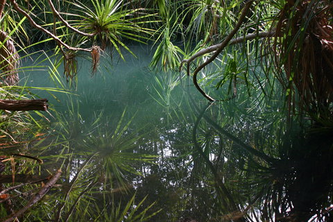 Howard Springs Nature Park - E Caravan Parks 2