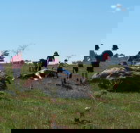 Jim Salmon  Wetland Education Site - E Caravan Parks