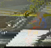 Lovedale - E Caravan Parks