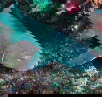 Middle Reef Dive Site - E Caravan Parks
