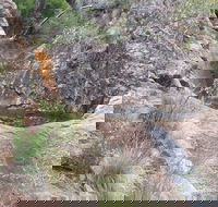 Mill-bullah Walking Track - E Caravan Parks