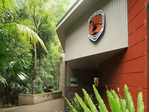 Minnamurra Rainforest Centre: Budderoo National Park - E Caravan Parks 0