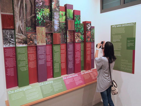 Minnamurra Rainforest Centre: Budderoo National Park - E Caravan Parks 1