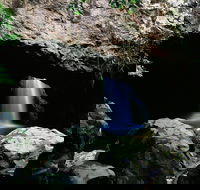 Natural Bridge Circuit Springbrook National Park - E Caravan Parks