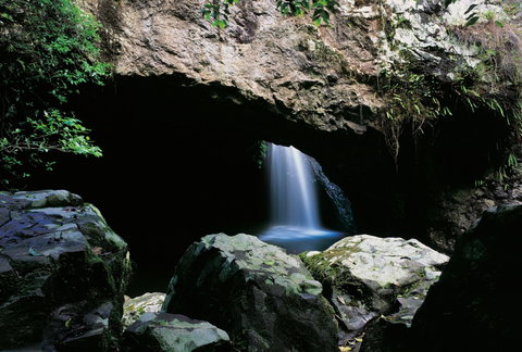 Natural Bridge Circuit, Springbrook National Park - E Caravan Parks 0