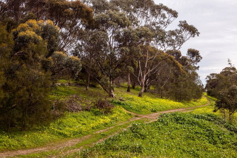 O'Halloran Hill Recreation Park - E Caravan Parks 1