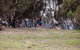 O'Halloran Hill Recreation Park - thumb 2