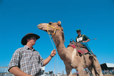 Outback Camel Festival Trail - E Caravan Parks 1