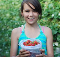 Ricardoes Tomatoes and Strawberries Farm Port Macquarie - E Caravan Parks