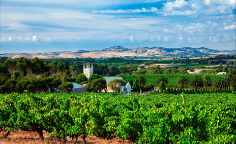 Seppeltsfield Road Barossa Valley - E Caravan Parks 1