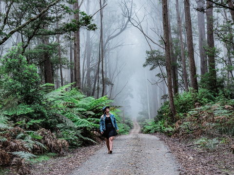 The Corn Trail Walking Track - E Caravan Parks 0