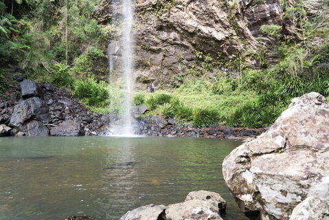 Twin Falls Circuit, Springbrook National Park - E Caravan Parks 0