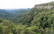 Twin Falls Circuit, Springbrook National Park - thumb 1
