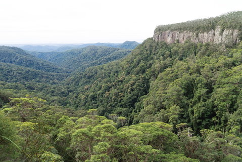 Twin Falls Circuit, Springbrook National Park - E Caravan Parks 1