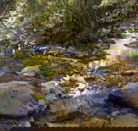 Washpool Walking Track - E Caravan Parks