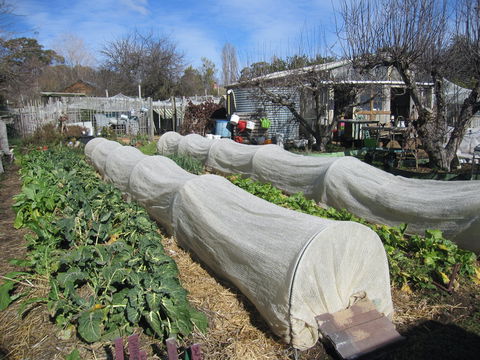 Wynlen House: Tour A Unique Urban Regenerative Farm And Market Garden - E Caravan Parks 0