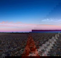 Yanga National Park - E Caravan Parks