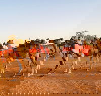 Broken Hill Camels - E Caravan Parks